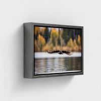 Table Print on Canvas Landscape Nature Bird with wings deployed flying over water