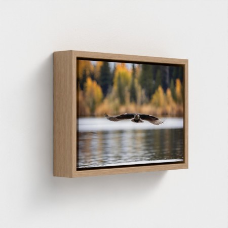 Tableau impression sur toile Paysage nature oiseau aux ailes déployées volant au-dessus de l’eau