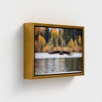 Table Print on Canvas Landscape Nature Bird with wings deployed flying over water
