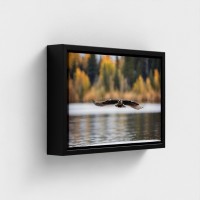 Tafelprint op canvas landschap Natuurvogel met vleugels ingezet vliegen over water
