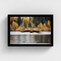 Tischdruck auf Leinwandlandschaft Naturvogel mit den Flügeln, die über Wasser fliegen