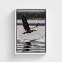 Table printed on canvas photographic cliche natural landscape with flying bird over water