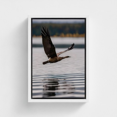 Tabelle auf Leinwand fotografische Klischee-Naturlandschaft mit fliegendem Vogel über Wasser gedruckt