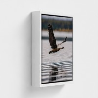 Tableau imprimé sur toile Cliché photographique Paysage naturel avec oiseau en vol au dessus de l eau