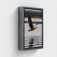 Tabelle auf Leinwand fotografische Klischee-Naturlandschaft mit fliegendem Vogel über Wasser gedruckt
