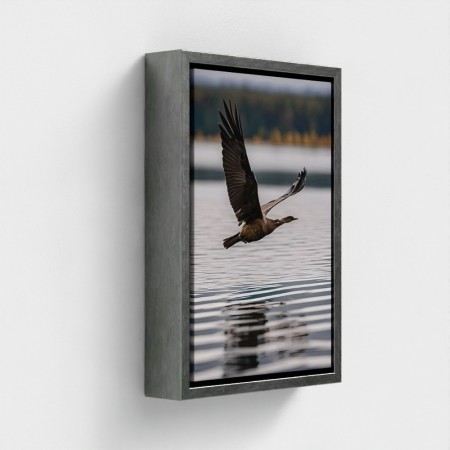Tabelle auf Leinwand fotografische Klischee-Naturlandschaft mit fliegendem Vogel über Wasser gedruckt