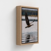 Tabla impresa en lienzo, cliché fotográfico, paisaje natural con pájaro volador sobre el agua