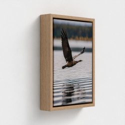 Tabela impressa na lona Clichê fotográfico natural paisagem com pássaro voando sobre a água