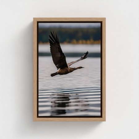 Tabelle auf Leinwand fotografische Klischee-Naturlandschaft mit fliegendem Vogel über Wasser gedruckt