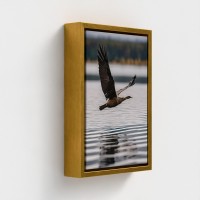 Tableau imprimé sur toile Cliché photographique Paysage naturel avec oiseau en vol au dessus de l eau