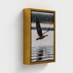 Tabelle auf Leinwand fotografische Klischee-Naturlandschaft mit fliegendem Vogel über Wasser gedruckt