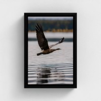 Table printed on canvas photographic cliche natural landscape with flying bird over water