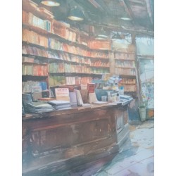 Pair Watercolor butikker Boutique bokhylle, akvarell maleri bøker vegg dekor innrammet