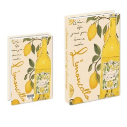 Box Dekoration Buchform, stilvolle Lagerung und gekleidetes Deko Chic