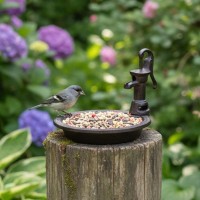 Formulário de alimentador de pássaro filme Bomba de água - banho de pássaro decorativo e alimentos para jardim ao ar livre