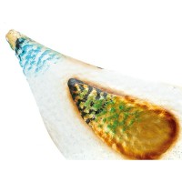 Poule décorative en métal roux à poser, décoration de jardin extérieure originale et résistante