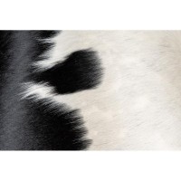 Svart metall gulvlampe og single cowhide lampeskjerm | Industriell og rustikk design Stue belysning