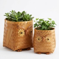 Sett med 2 Hiboo Bamboo Hide Cache Flettet | Handlekurv anlegget inni og lagringsanlegg dekorasjon Artisanal