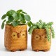Conjunto de 2 Hiboo Bamboo Hide Cache Trançado | Planta de carrinho dentro e armazenamento decoração de plantas artesanais