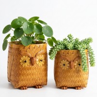 Conjunto de 2 Hiboo Bamboo Hide Cache Trançado | Planta de carrinho dentro e armazenamento decoração de plantas artesanais