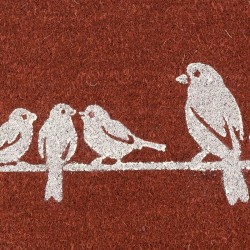 Oval Fiber Coconut Natural Bird Fiber Birds: Dejlig dejlig anti-slip og dekorativ udendørs input mat