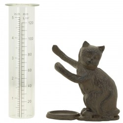 Field Rainometer og Glass Decor Chat Poster: Rain Garden Rain Meter & Chic Exterior Dekorative Object