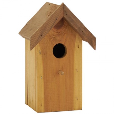Pin pássaros com poleiro: cabine de madeira natural para pássaros de jardim
