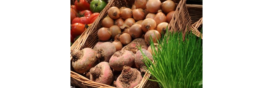 Cesta de cestaria cesta de vime lojas e mercados profissionais em madeira e vime