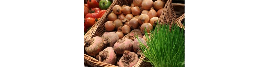 Vannerie & Professional