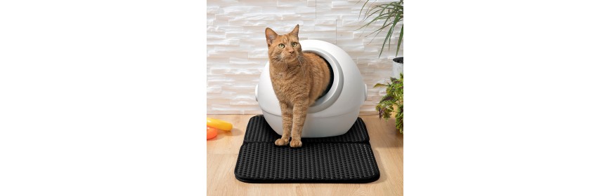 Animali domestici