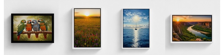 Wall-mounted frameboards framed